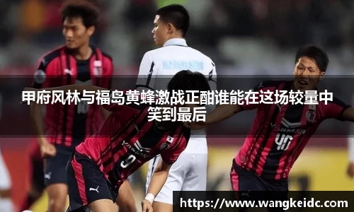 甲府风林与福岛黄蜂激战正酣谁能在这场较量中笑到最后